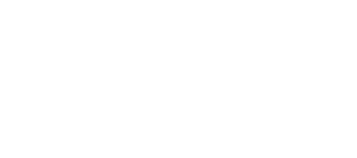 SIMS Logo
